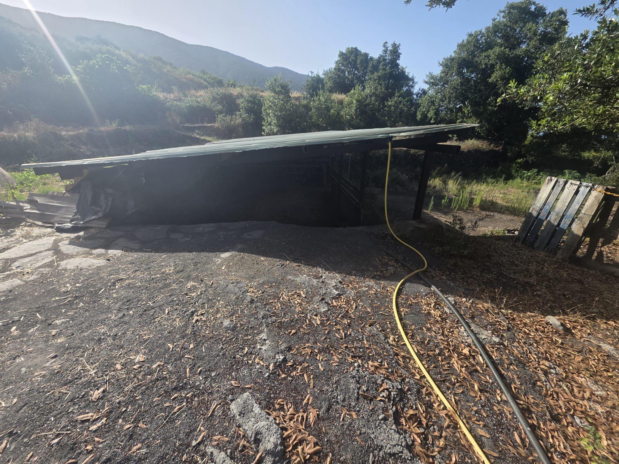 Zertifizierte Bio-Finca in San Isidro — photo 22