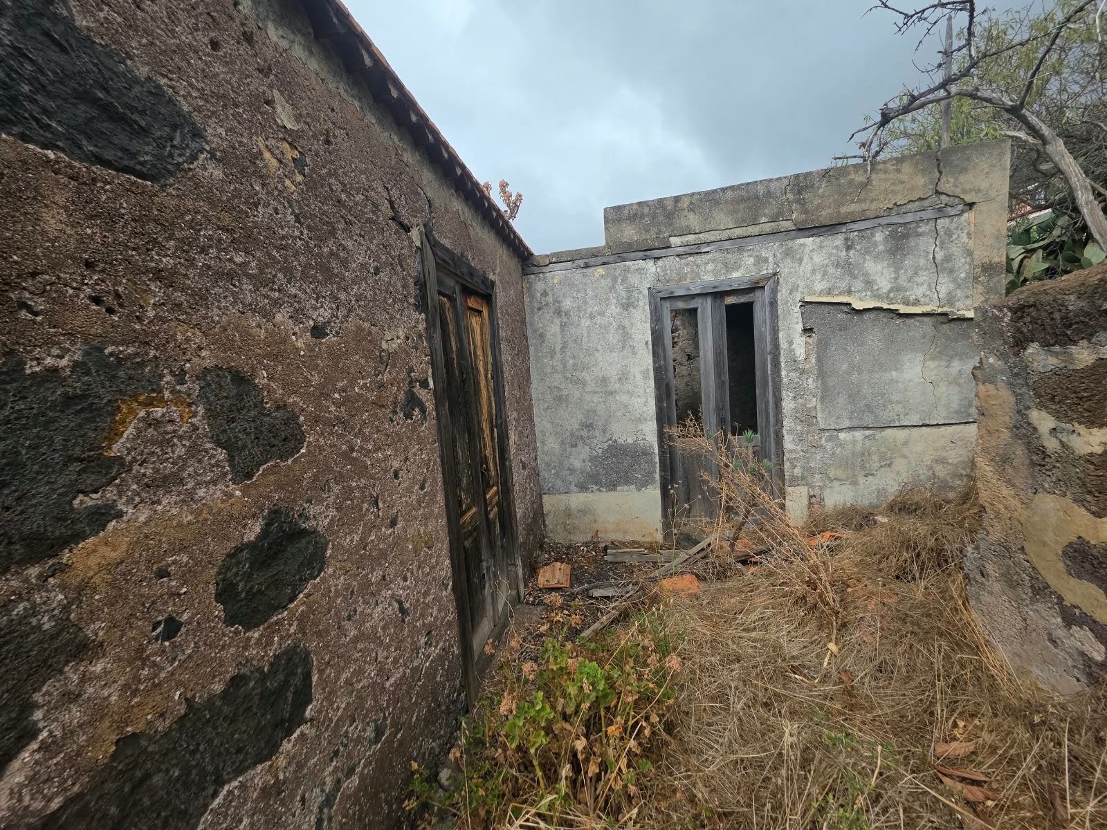Ein kanarischer Rückzugsort zum Wiederbeleben in El Roque — photo 4