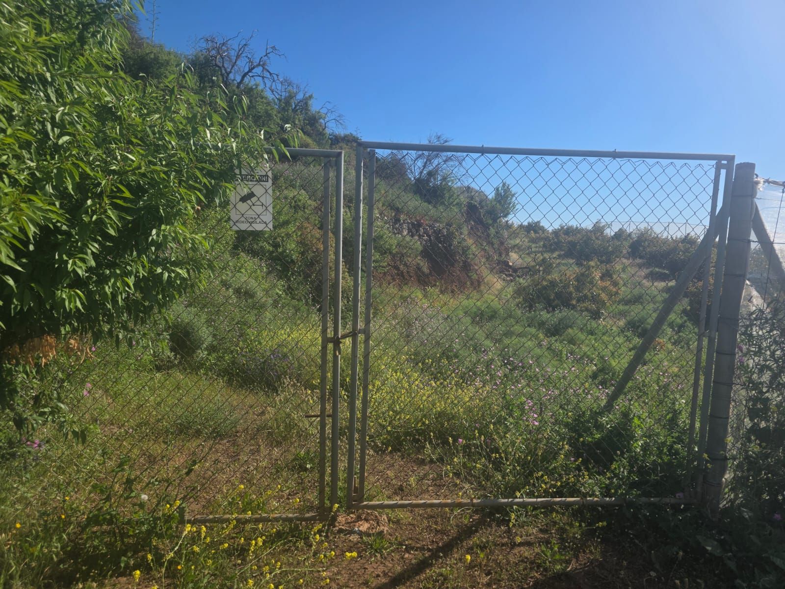 Coastal Development Opportunity in Puntagorda — photo 2