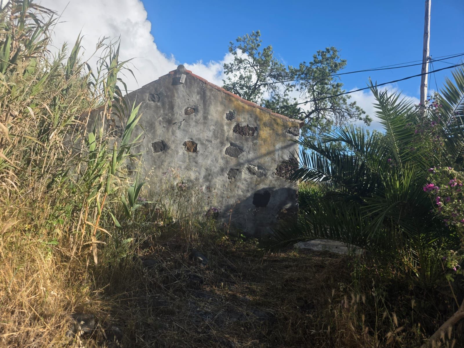 Renovation Opportunity with Urban Land in Puntagorda — photo 8