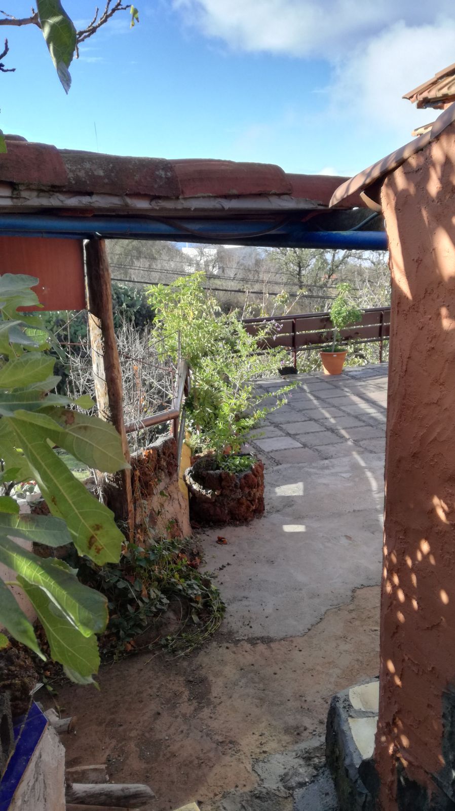 Canarian Property with Pool and Great Potential — photo 5