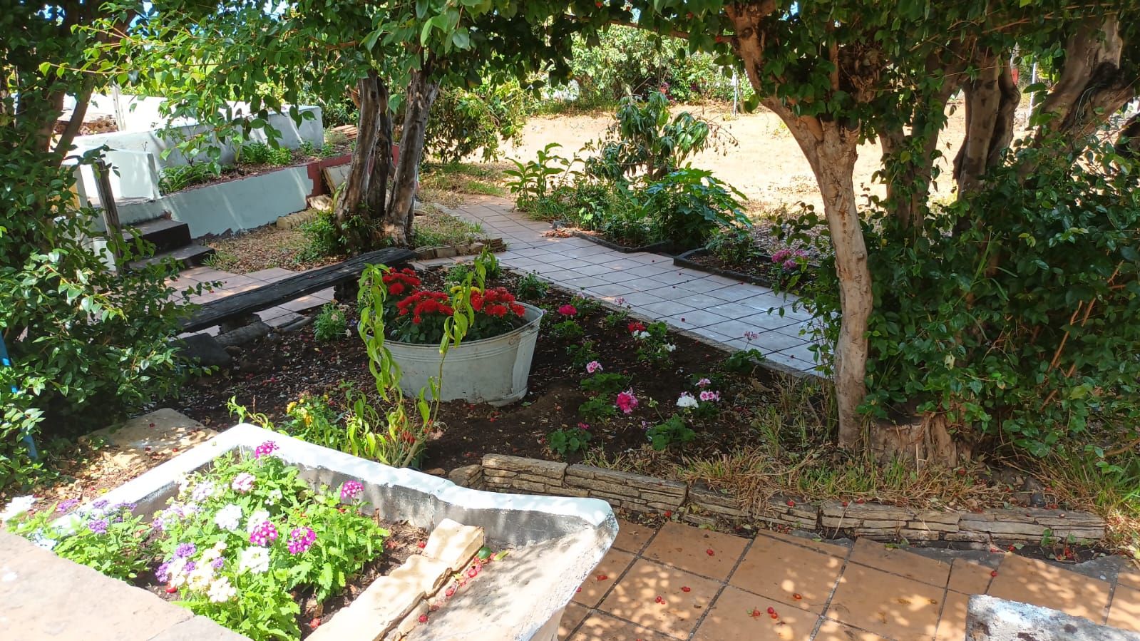 A Distinctive Residence in El Zumacal — photo 5