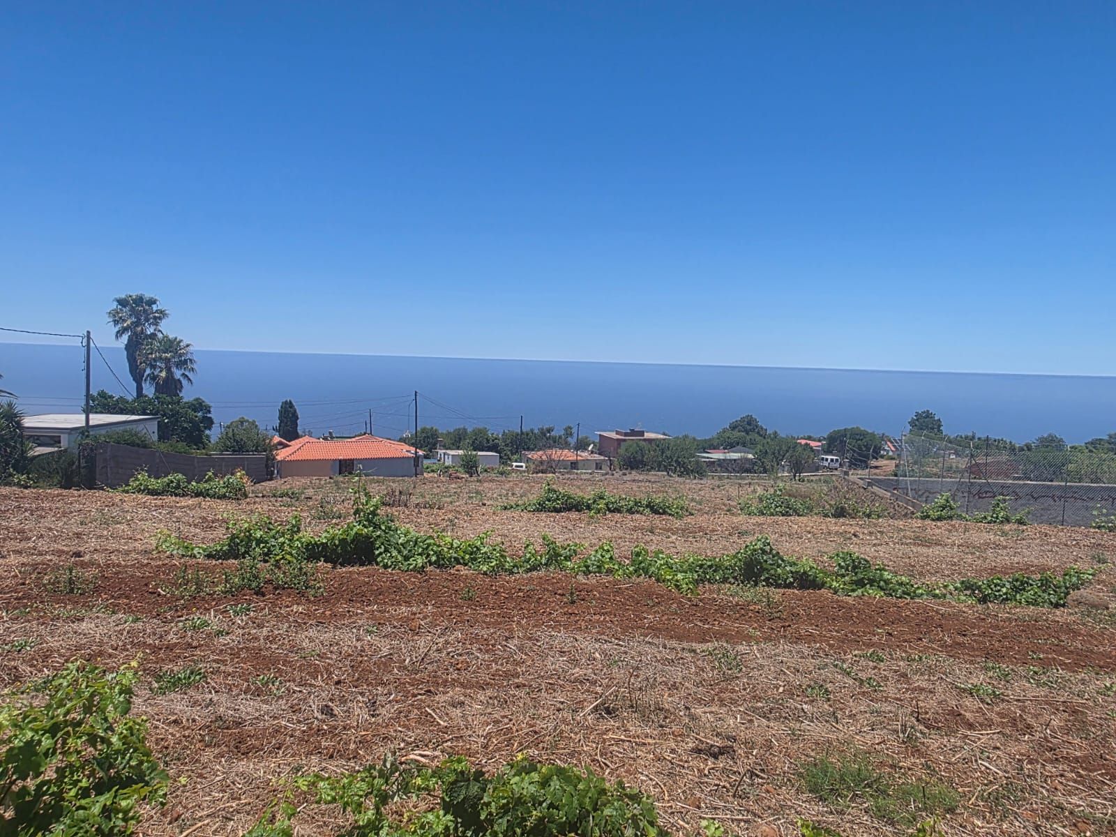 Una Casa Canaria con Suelo Urbano y Potencial de Desarrollo en Puntagorda — photo 29