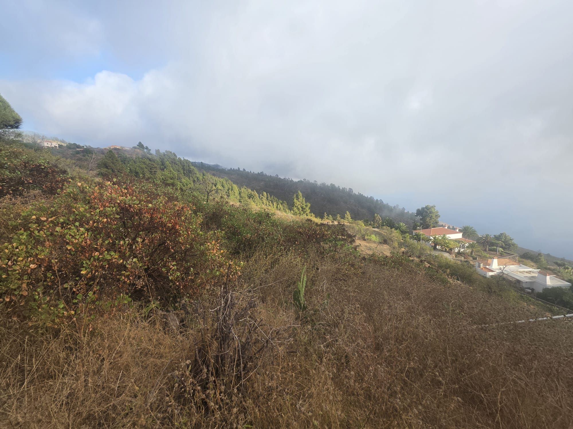 Finca Rural Con Dos Construcciones — photo 5