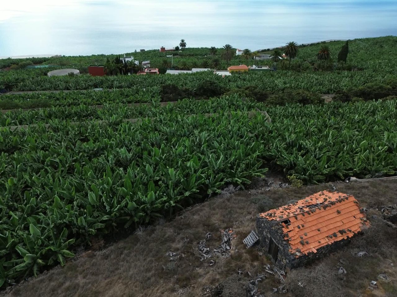 Stein und Atlantiklandschaft in La Punta