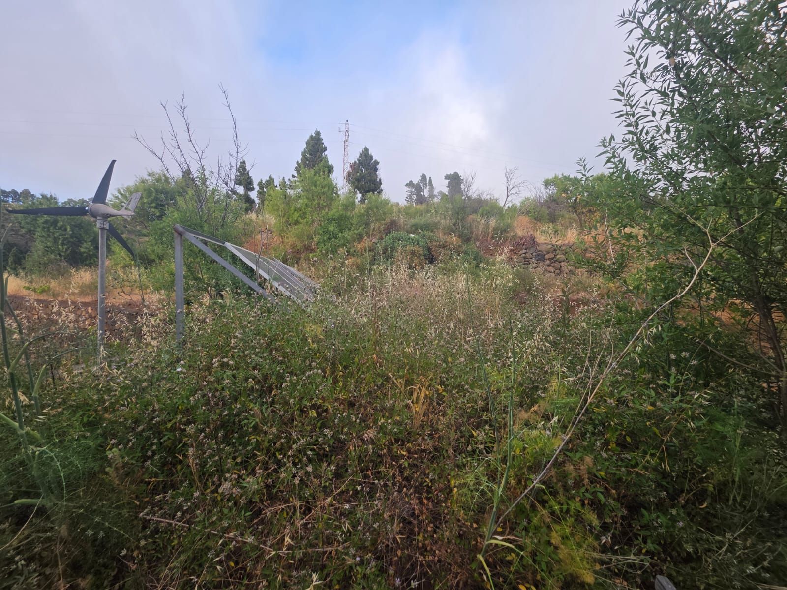 A Substantial Residence with Exceptional Potential — photo 26