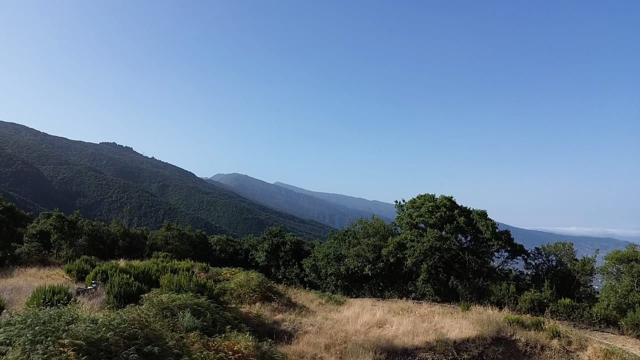 Zertifizierte Bio-Finca in San Isidro — photo 8