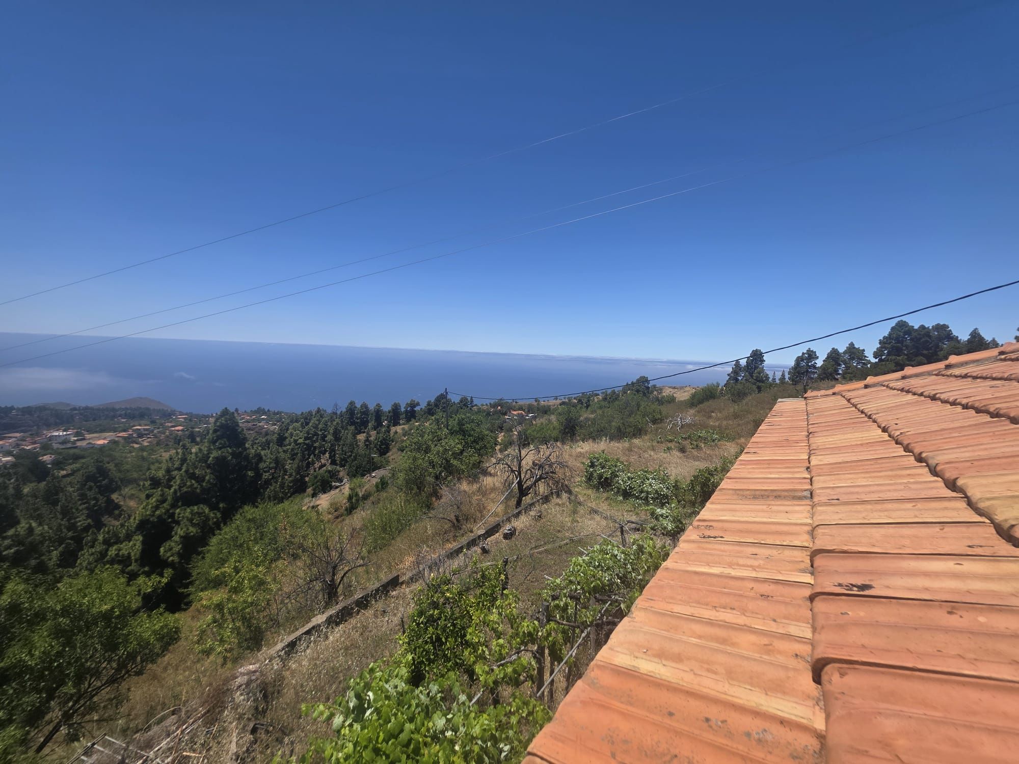 A Singular Estate with Exceptional Residential Development Potential — photo 15
