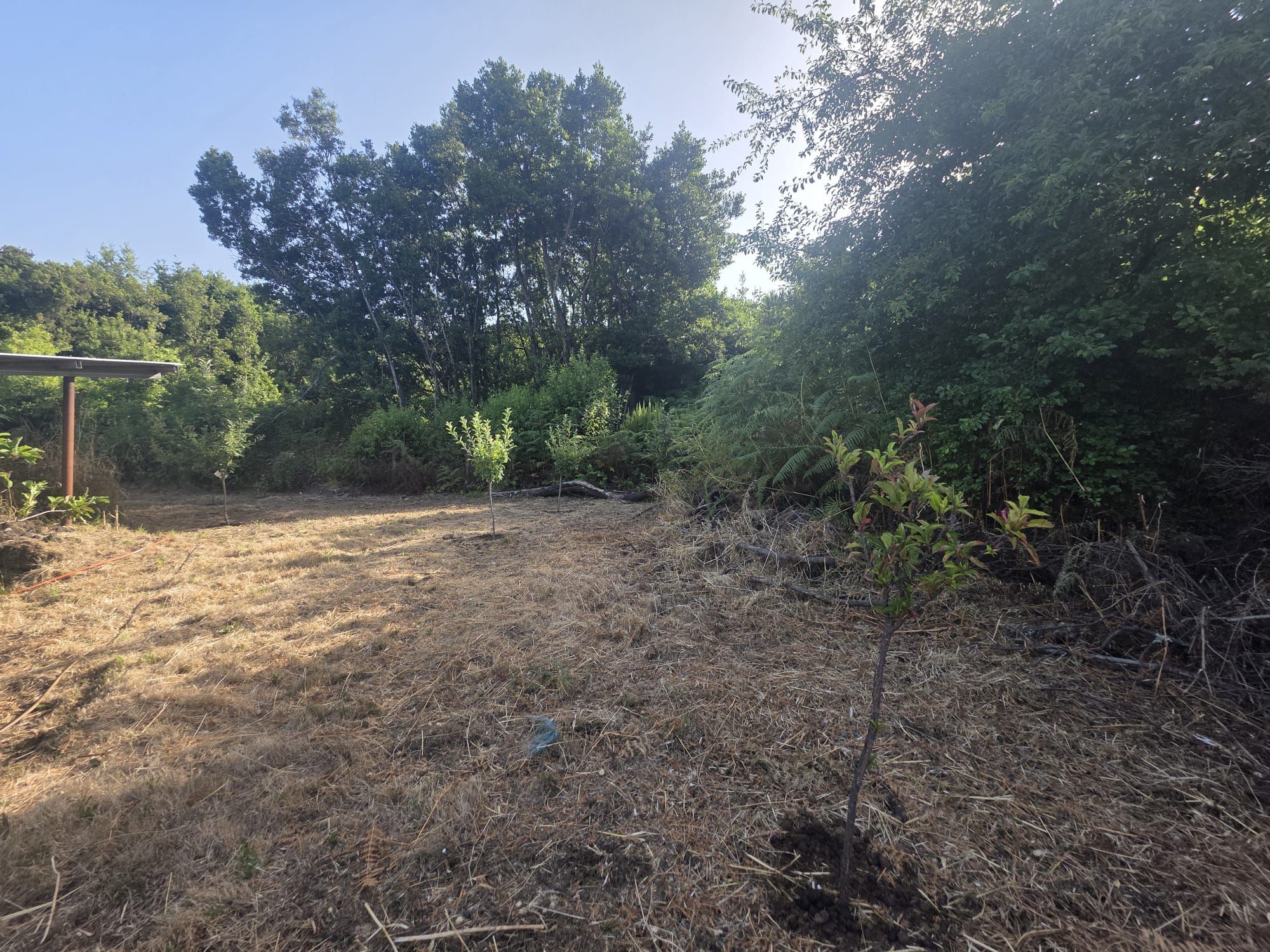 Zertifizierte Bio-Finca in San Isidro — photo 32