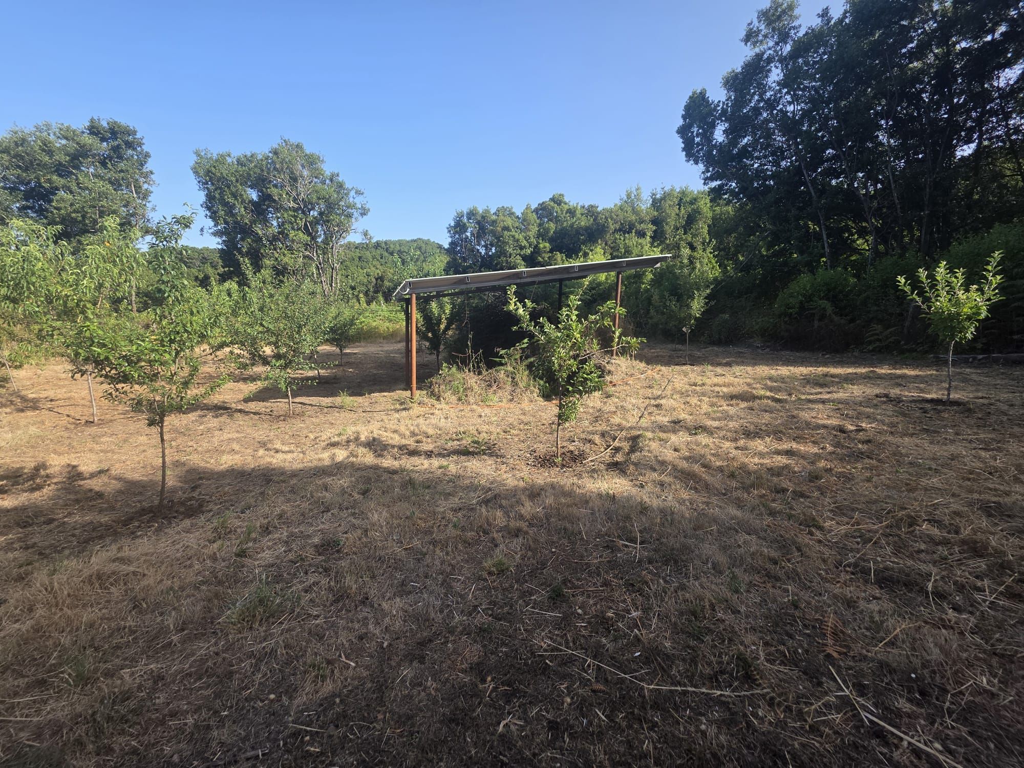 Zertifizierte Bio-Finca in San Isidro — photo 35