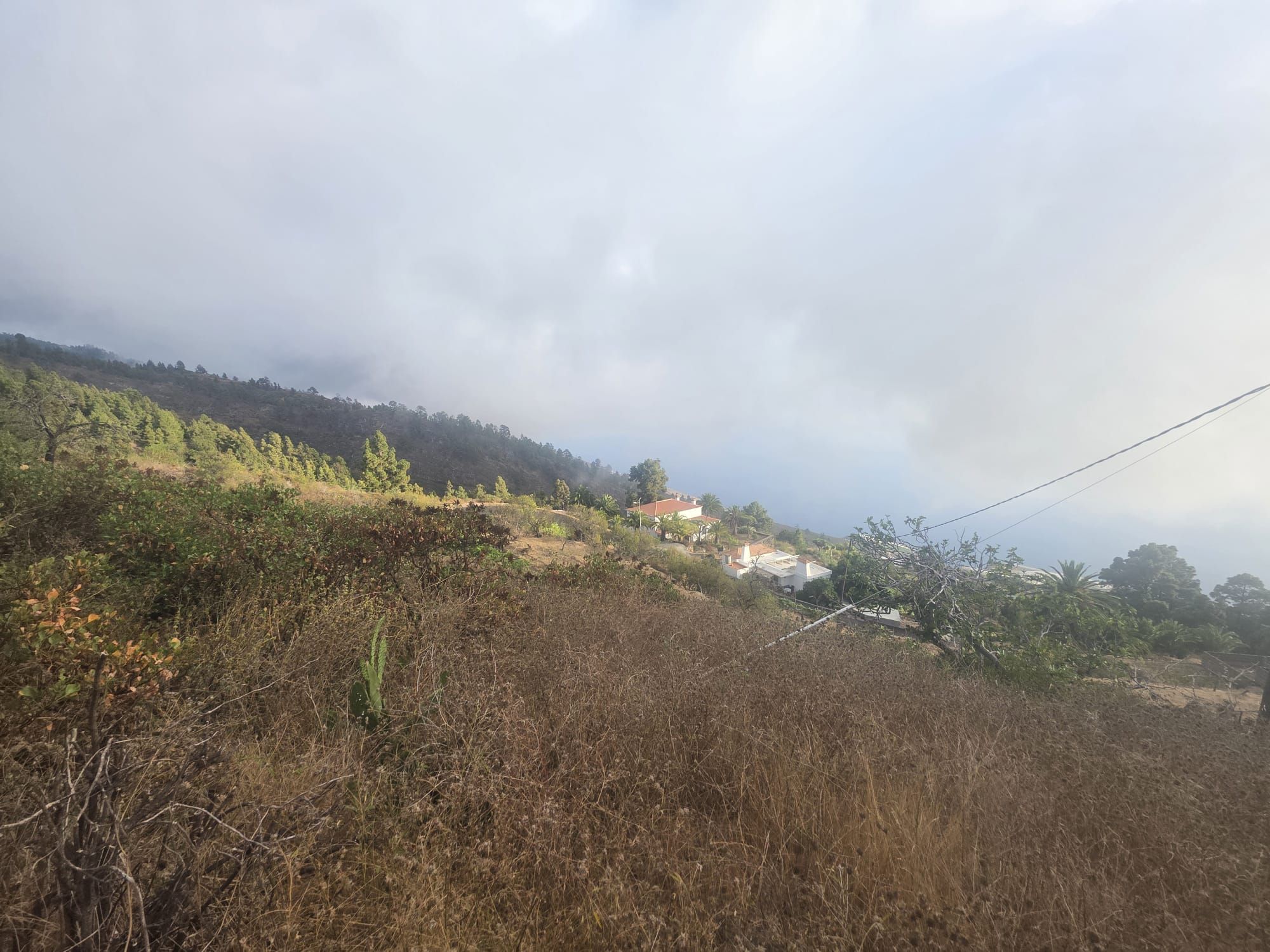 Finca Rural Con Dos Construcciones — photo 4