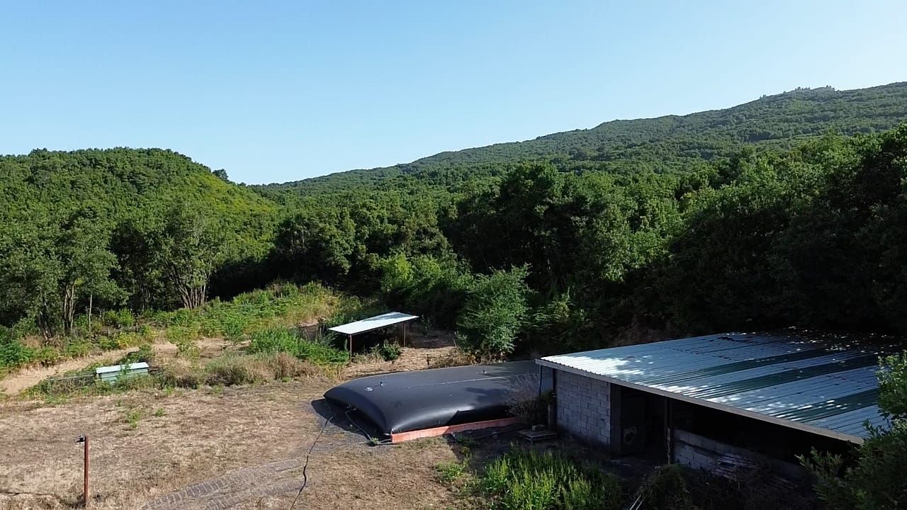 Zertifizierte Bio-Finca in San Isidro — photo 10