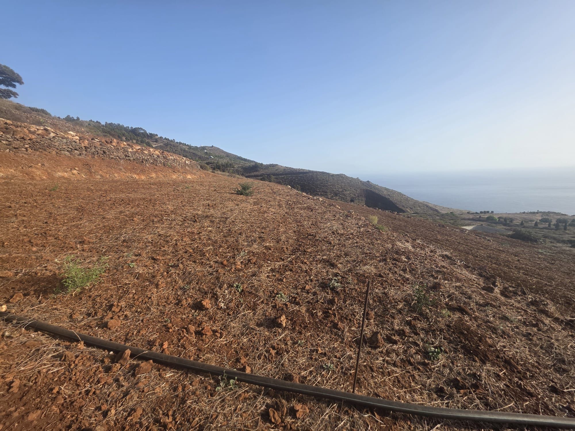Finca Privada con Vistas al Atlántico y Potencial Turístico en Puntagorda — photo 6
