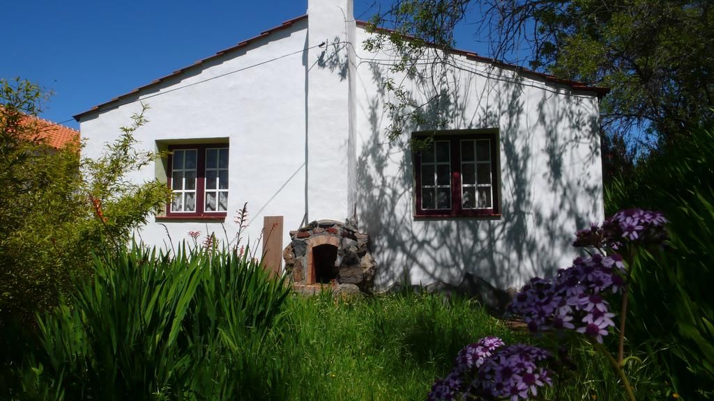 Dos Residencias con Alma Canaria — photo 11