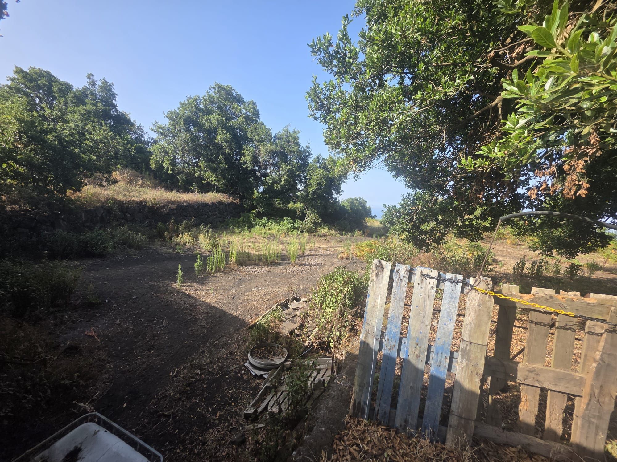 Zertifizierte Bio-Finca in San Isidro — photo 25